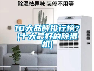 企业新闻10大品牌排行榜？(十大最好的除湿机)