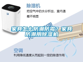 常见问题家具怎么防潮防霉？家具防潮用除湿机