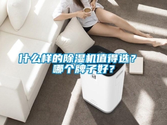 行业新闻什么样的除湿机值得选？ 哪个牌子好？