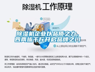 常见问题除湿机企业以品质之力，四两拔千斤开启品牌之门