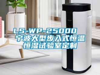 常见问题LS-WP-25000  宁波大型步入式恒温恒湿试验室定制