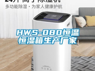 常见问题HWS-080恒温恒湿箱生产厂家