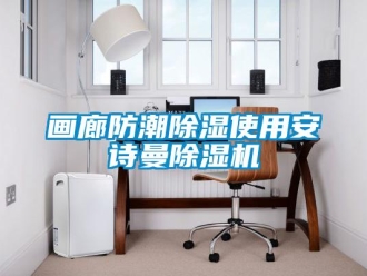 企业新闻画廊防潮除湿使用环球360游戏除湿机