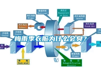 行业新闻梅雨季衣服为什么会臭？