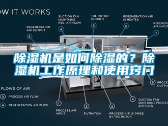 常见问题除湿机是如何除湿的？除湿机工作原理和使用窍门