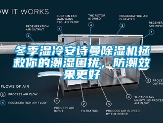 企业新闻冬季湿冷环球360游戏除湿机拯救你的潮湿困扰，防潮效果更好