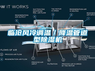 行业新闻临沧风冷调温／降温管道型除湿机