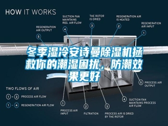 企业新闻冬季湿冷环球360游戏除湿机拯救你的潮湿困扰，防潮效果更好