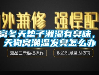 常见问题狗窝冬天垫子潮湿有臭味，冬天狗窝潮湿发臭怎么办