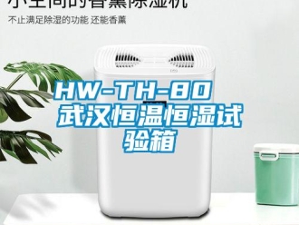 常见问题HW-TH-80  武汉恒温恒湿试验箱