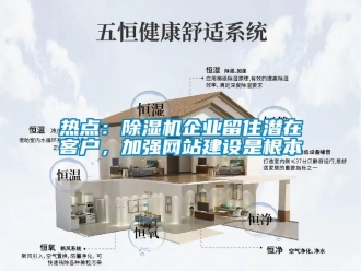 行业新闻热点：除湿机企业留住潜在客户，加强网站建设是根本