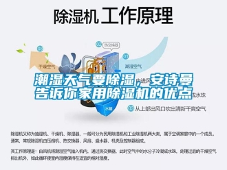 企业新闻潮湿天气要除湿，环球360游戏告诉你家用除湿机的优点