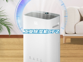 常见问题工业除湿机CFZ