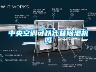 行业新闻中央空调可以代替除湿机吗