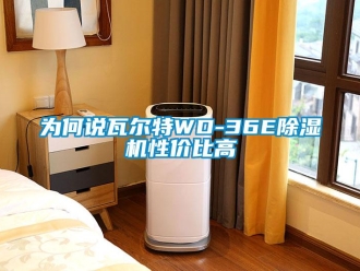 行业新闻为何说瓦尔特WD-36E除湿机性价比高