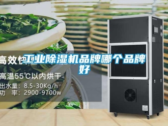 企业新闻工业除湿机品牌哪个品牌好