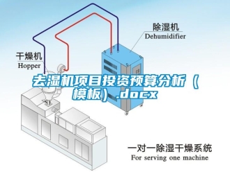 行业新闻去湿机项目投资预算分析（模板）.docx